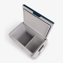ICF 32