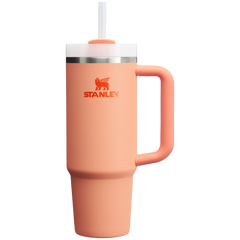 The Quencher H2.0 Flowstate™ Tumbler | 30 OZ
